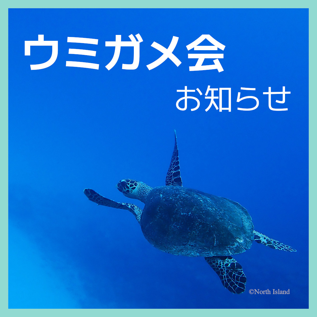 「第1回ウミガメ会」へのご参加ありがとうございました！